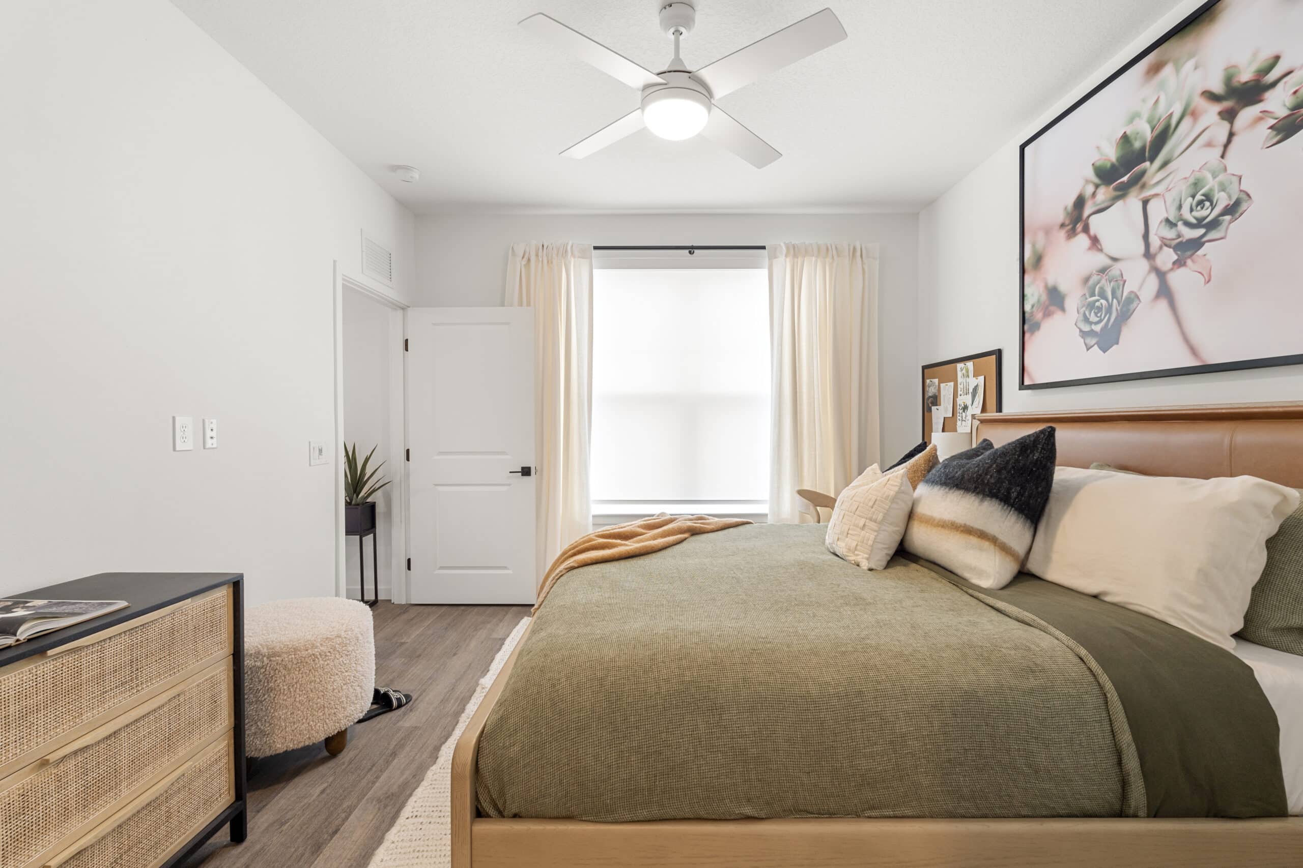 Soluna Project - Image 4